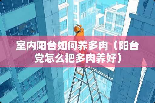 室内阳台如何养多肉（阳台党怎么把多肉养好）