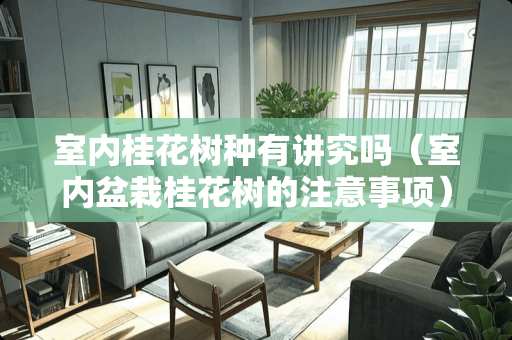 室内桂花树种有讲究吗（室内盆栽桂花树的注意事项）