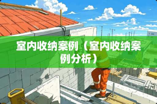 室内收纳案例（室内收纳案例分析）