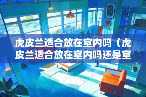 虎皮兰适合放在室内吗（虎皮兰适合放在室内吗还是室外）
