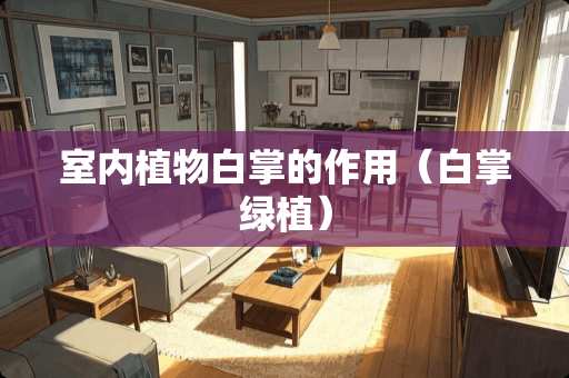 室内植物白掌的作用（白掌绿植）
