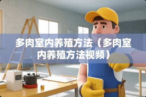 多肉室内养殖方法（多肉室内养殖方法视频）