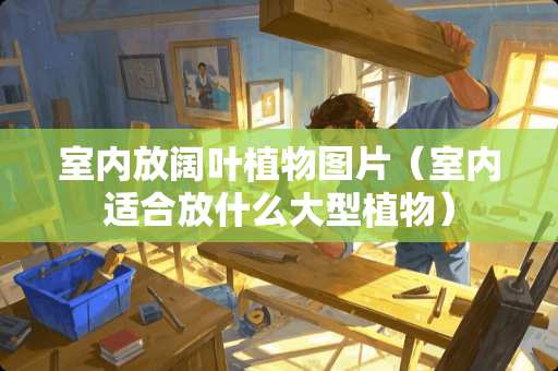 室内放阔叶植物图片（室内适合放什么大型植物）
