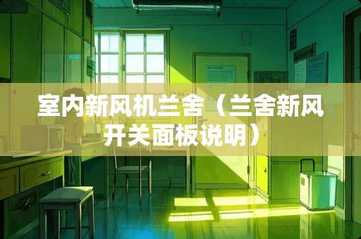 室内新风机兰舍（兰舍新风开关面板说明）