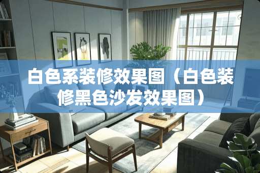 白色系装修效果图（白色装修黑色沙发效果图）