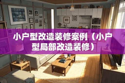 小户型改造装修案例（小户型局部改造装修）
