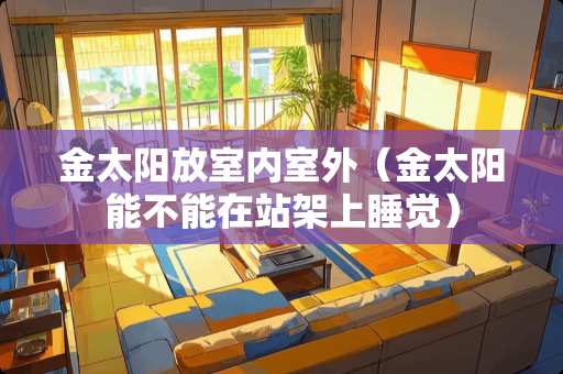 金太阳放室内室外（金太阳能不能在站架上睡觉）