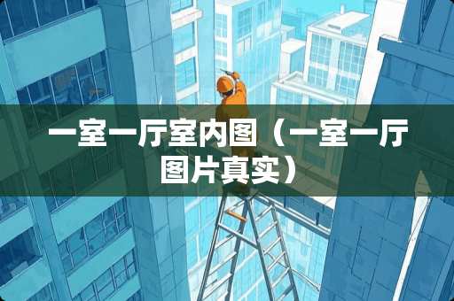 一室一厅室内图（一室一厅图片真实）