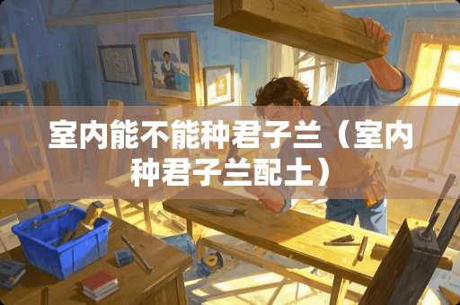 室内能不能种君子兰（室内种君子兰配土）