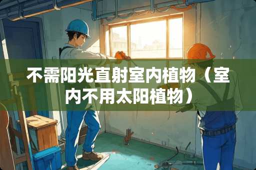 不需阳光直射室内植物（室内不用太阳植物）
