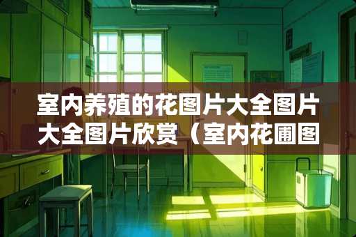 室内养殖的花图片大全图片大全图片欣赏（室内花圃图片大全）