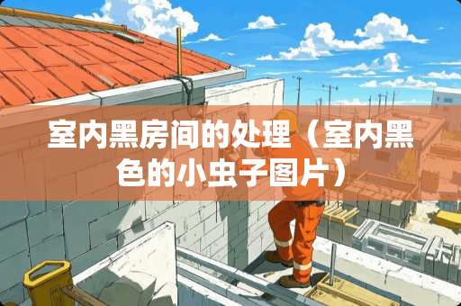 室内黑房间的处理（室内黑色的小虫子图片）