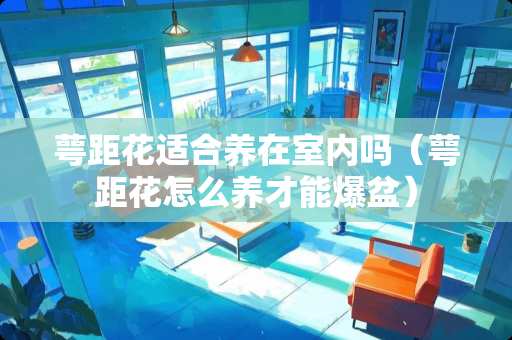 萼距花适合养在室内吗（萼距花怎么养才能爆盆）