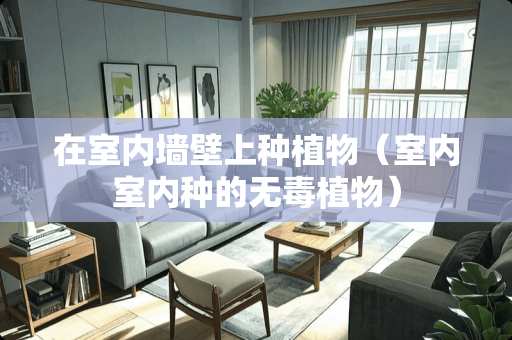 在室内墙壁上种植物（室内室内种的无毒植物）