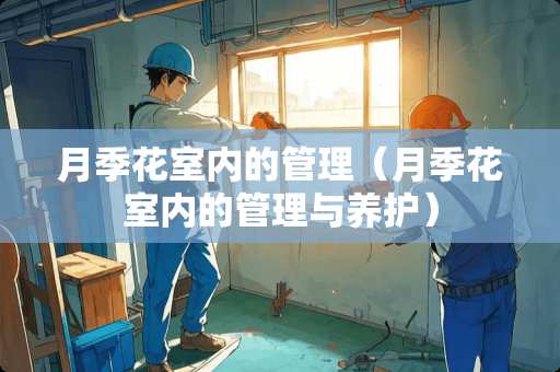 月季花室内的管理（月季花室内的管理与养护）