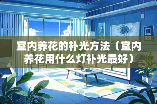 室内养花的补光方法（室内养花用什么灯补光最好）