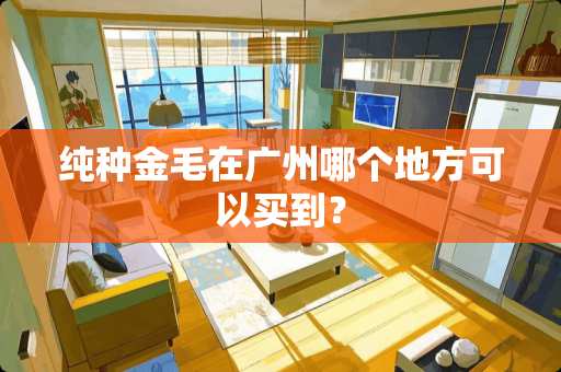纯种金毛在广州哪个地方可以买到？
