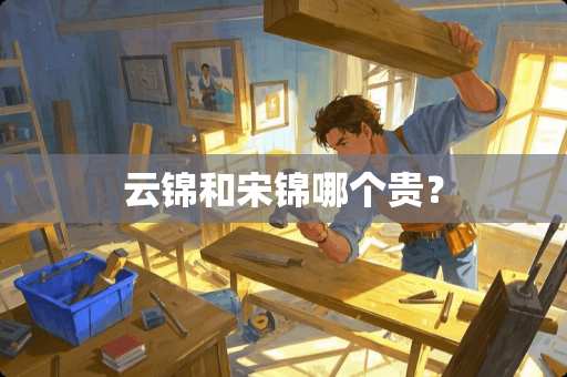 云锦和宋锦哪个贵？