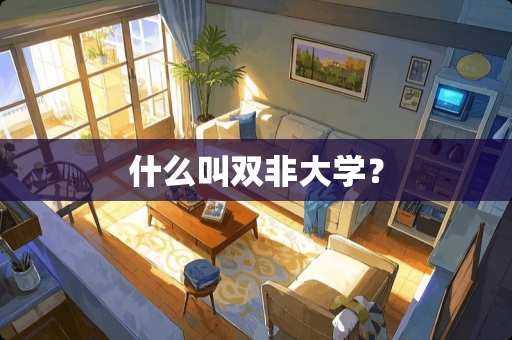 什么叫双非大学？