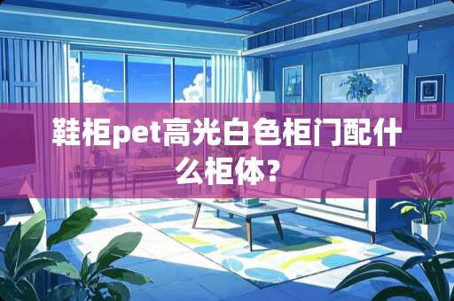 鞋柜pet高光白色柜门配什么柜体？