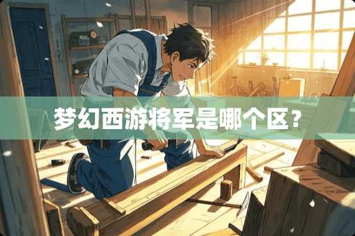 梦幻西游将军是哪个区？