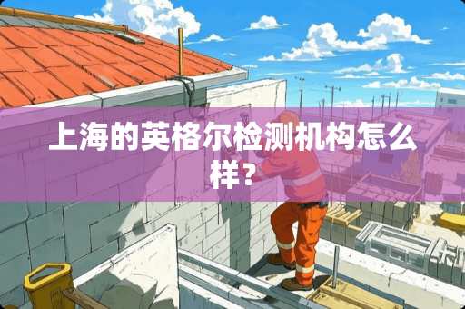 上海的英格尔检测机构怎么样？