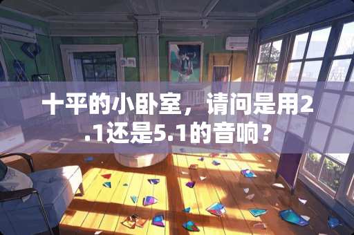 十平的小卧室，请问是用2.1还是5.1的音响？