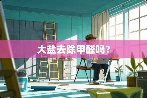 大盐去除甲醛吗？