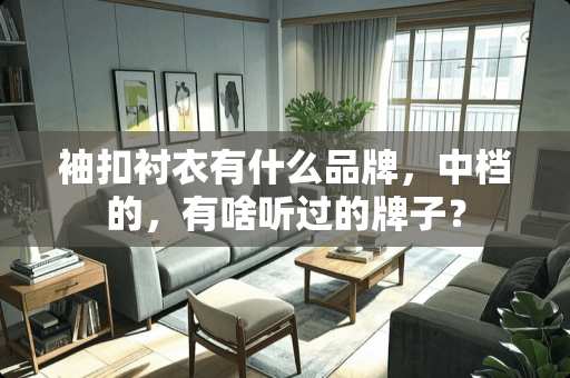 袖扣衬衣有什么品牌，中档的，有啥听过的牌子？