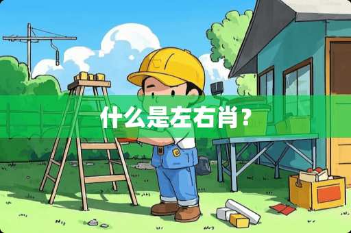 什么是左右肖？
