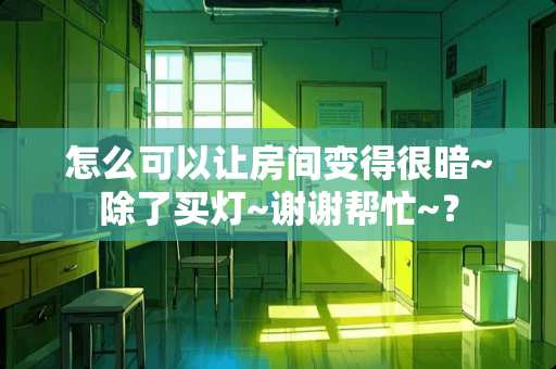 怎么可以让房间变得很暗~除了买灯~谢谢帮忙~？