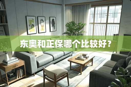 东奥和正保哪个比较好？