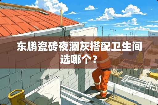 东鹏瓷砖夜澜灰搭配卫生间选哪个？