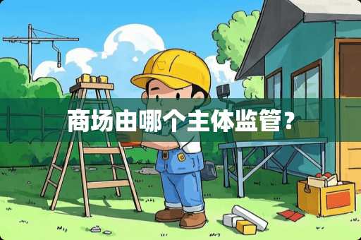 商场由哪个主体监管？