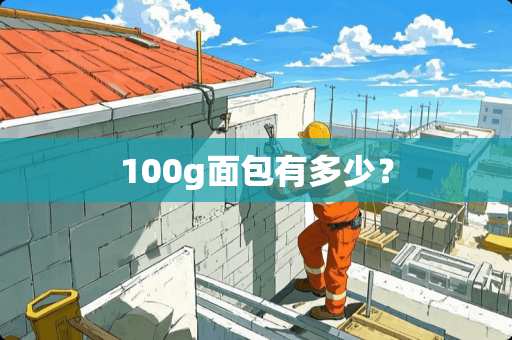 100g面包有多少？