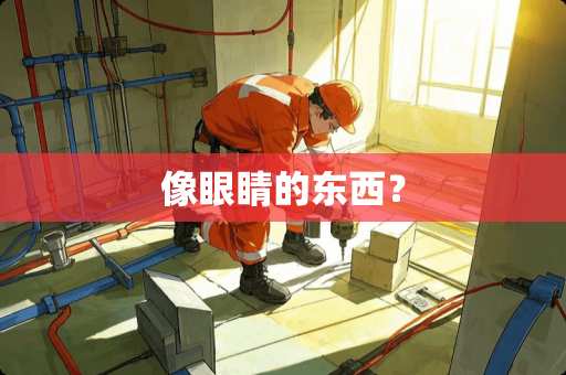 像眼睛的东西？