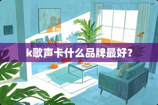 k歌声卡什么品牌最好？
