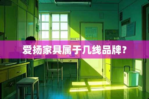 爱扬家具属于几线品牌？