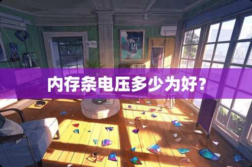 内存条电压多少为好? 内存条电压多少为好?