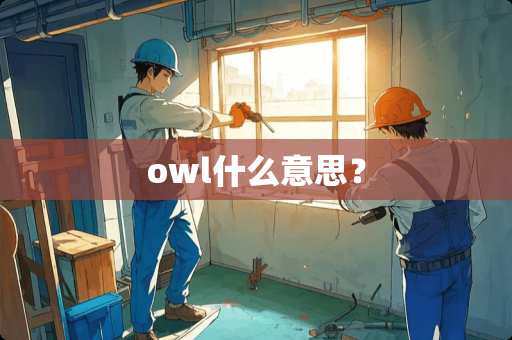 owl什么意思？