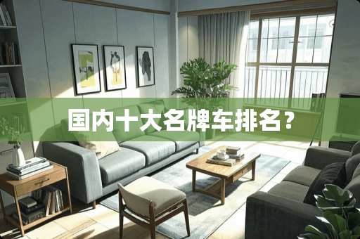 国内十大名牌车排名？