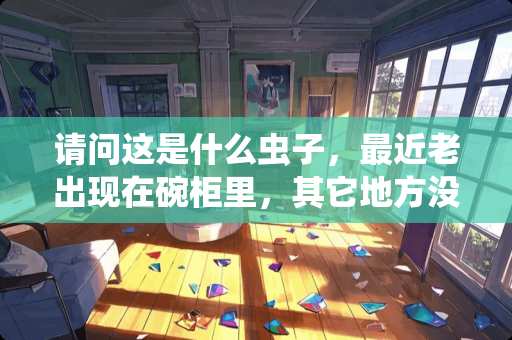 请问这是什么虫子，最近老出现在碗柜里，其它地方没有，谢谢大家帮忙解决？