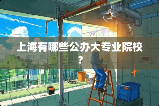 上海有哪些公办大专业院校？