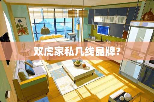 双虎家私几线品牌？