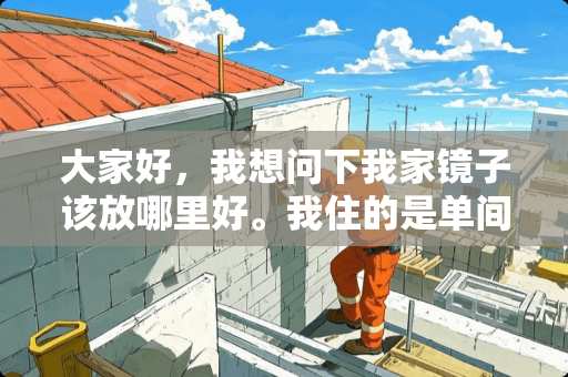 大家好，我想问下我家镜子该放哪里好。我住的是单间一卫的房间，房间？