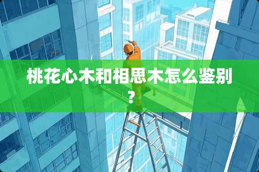 桃花心木和相思木怎么鉴别？