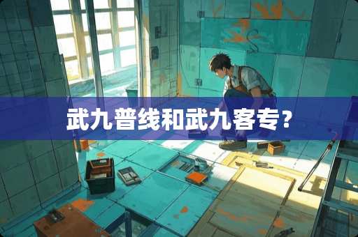 武九普线和武九客专？