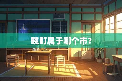 畹町属于哪个市？