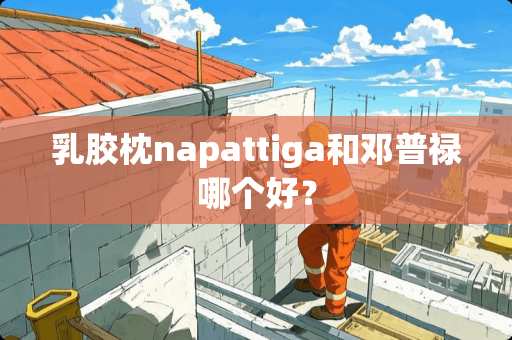 乳胶枕napattiga和邓普禄哪个好？