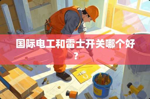 国际电工和雷士开关哪个好？